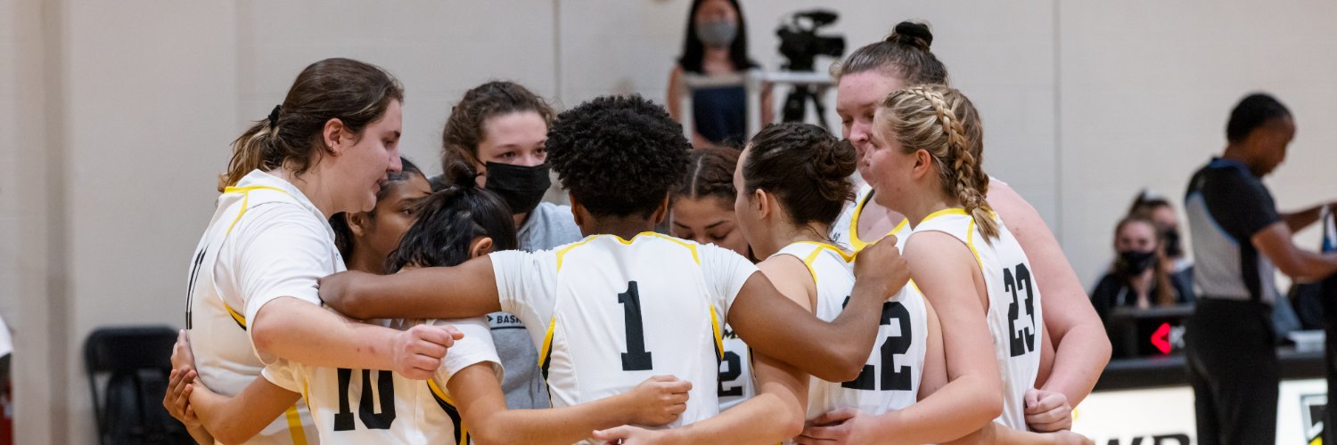 Bryn Mawr Basketball banner