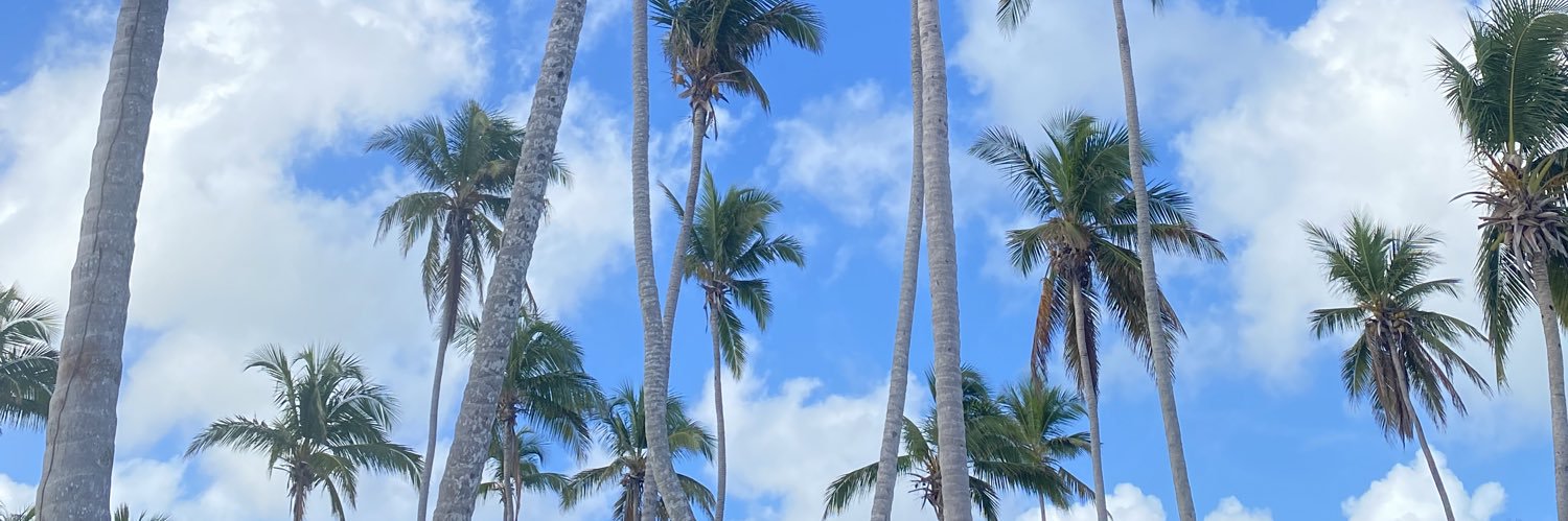 Nuchaavz_'s profile banner image