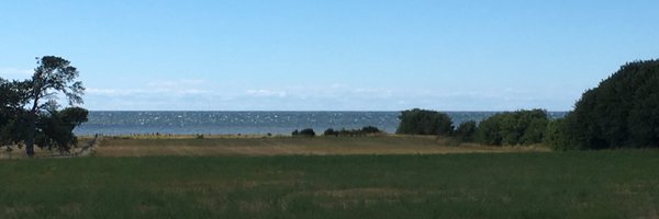 CarlBerglof Profile Banner