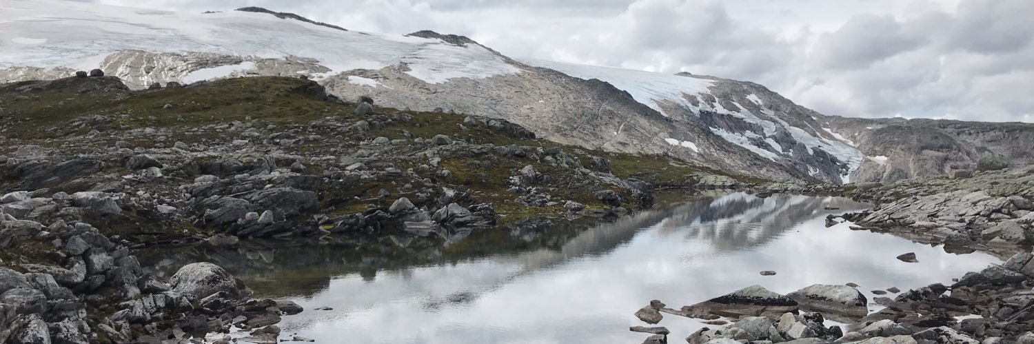 Rønnaug S S Mysterud banner