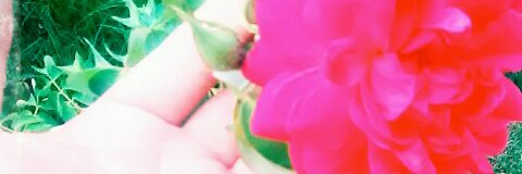 Marbecrg3's profile banner image