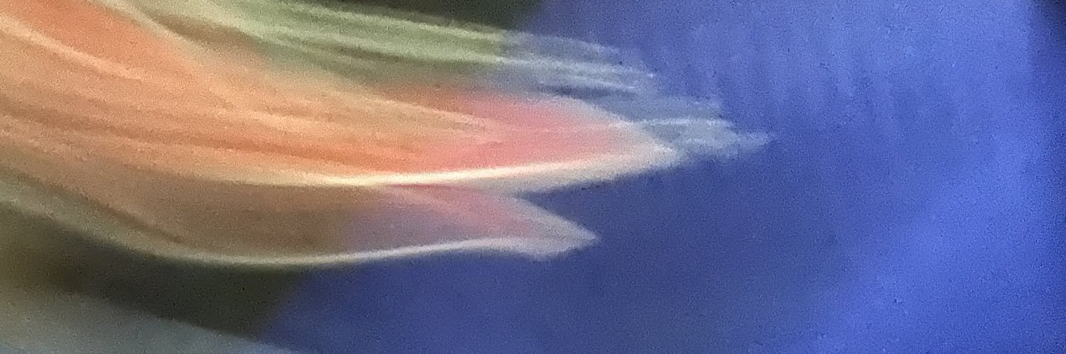 CrimsonTurn's profile banner image
