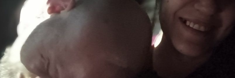 melikuava's profile banner image