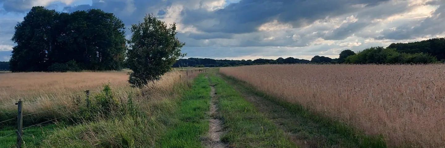 Annelies de Jong banner