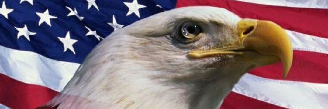 Joe Borz ❤🇺🇸❤ banner