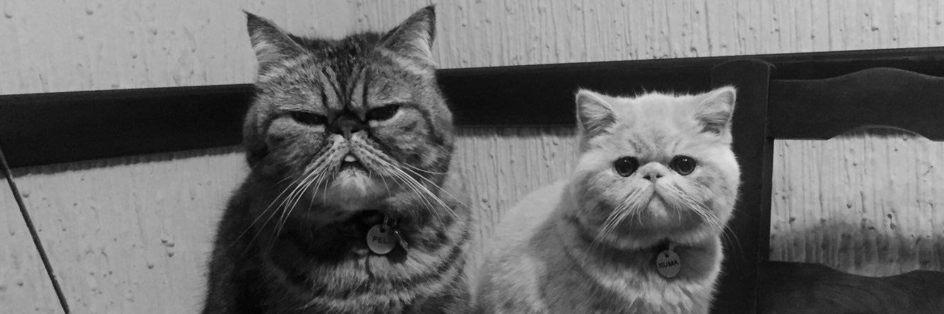 lurbazan's profile banner image