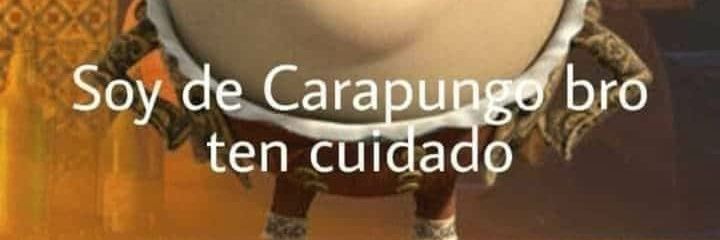 aysecolapso's profile banner image