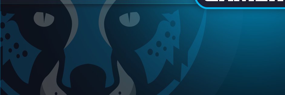 GamerChexPro's profile banner image