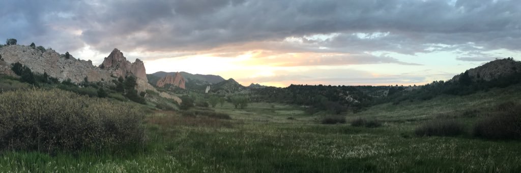 MaddieManey's profile banner image