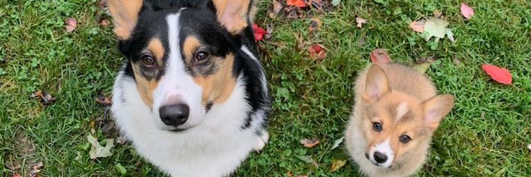 ItsGONErain's profile banner image