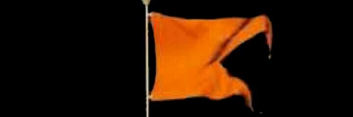 Mahendra V.Bhoir banner