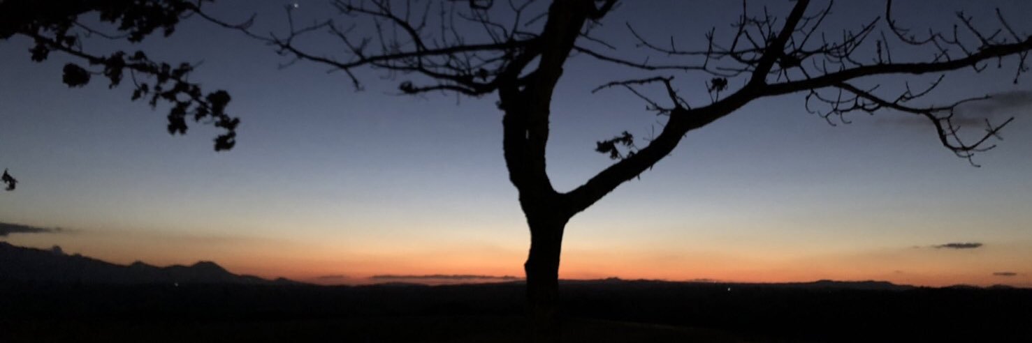 sakuV6318's profile banner image
