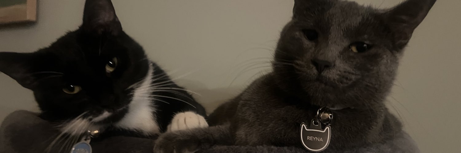 rowansuare's profile banner image