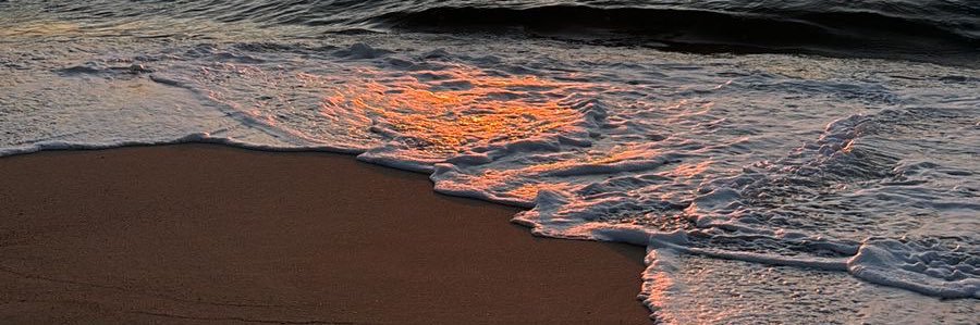 tamara_dass's profile banner image