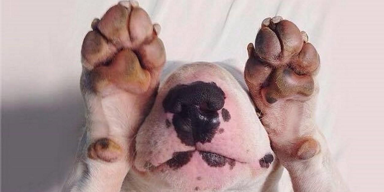 SarahZiroldo's profile banner image