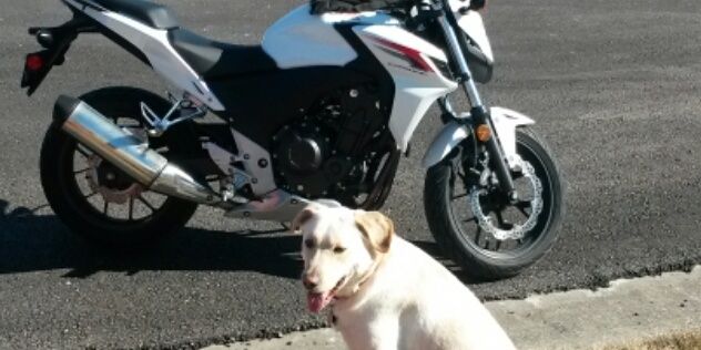 Riding_Naked's profile banner image