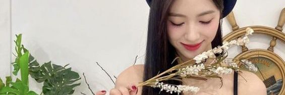 HMH banner