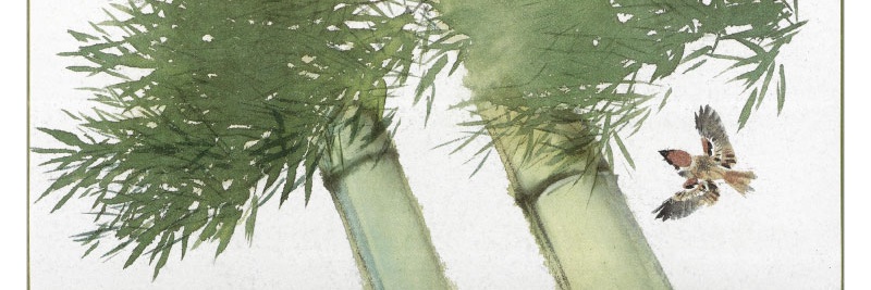 frariacqua's profile banner image