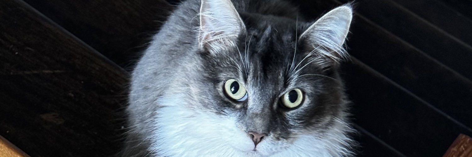 andosux's profile banner image