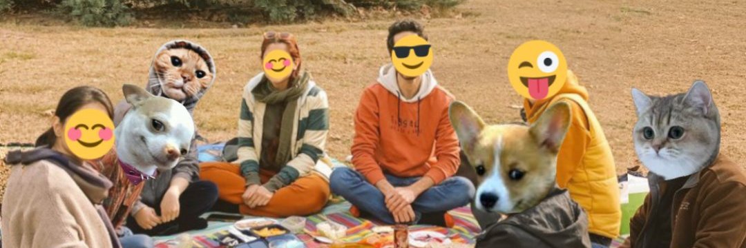 hamidaz68's profile banner image