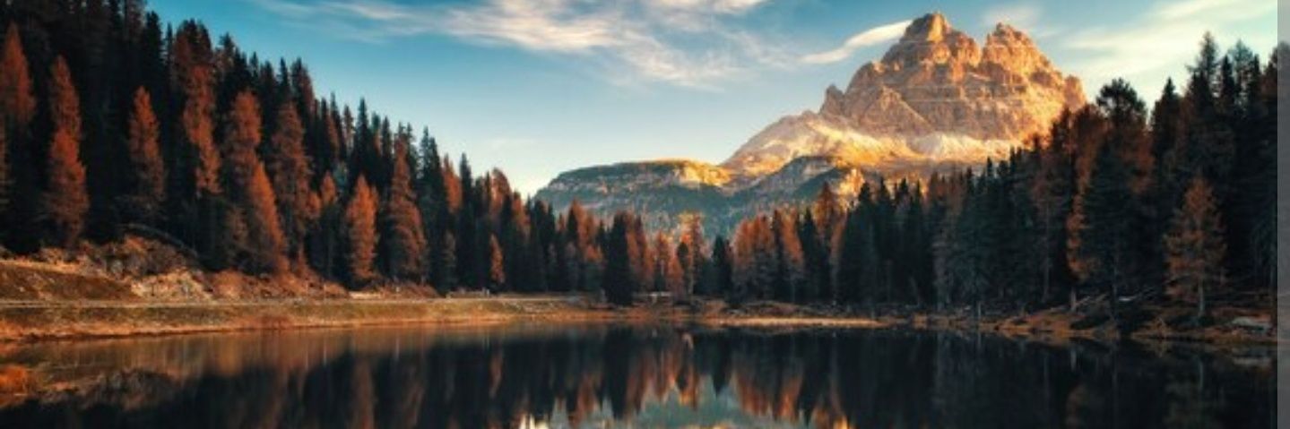 JohnnyCanunk's profile banner image