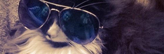 PizzleRizzle's profile banner image