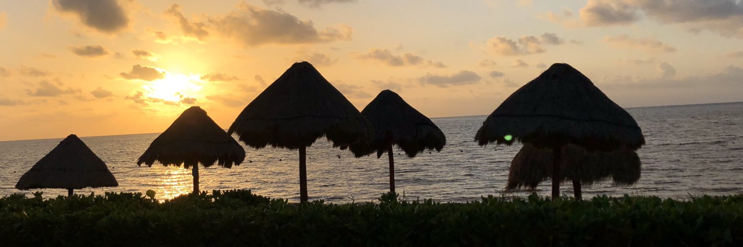 dev_trojo's profile banner image