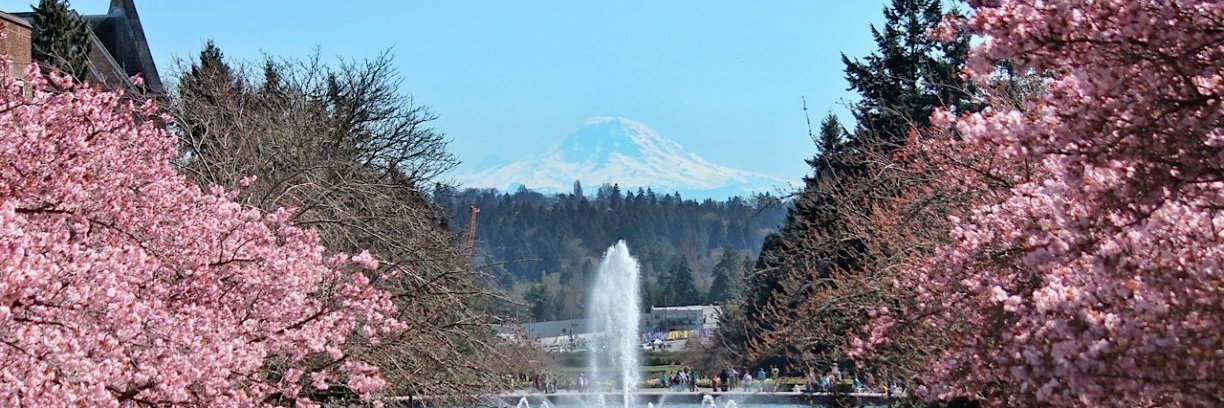 Arushi Prakash (She/Her) banner