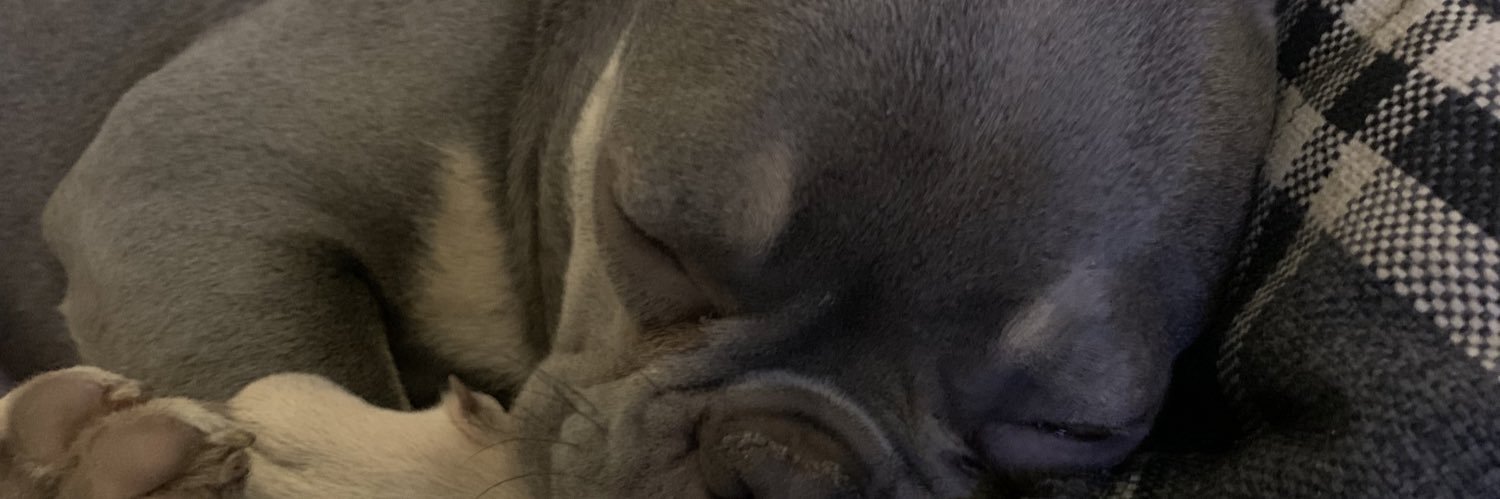 gazdaz4's profile banner image