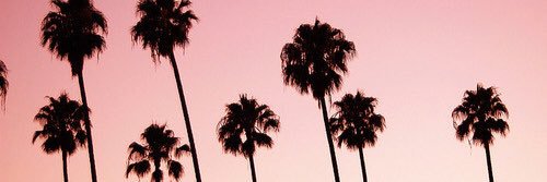 andrianasmk888's profile banner image