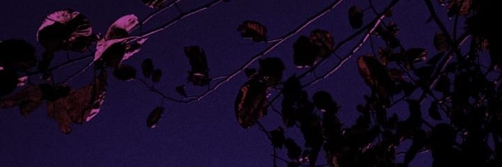 ofthevastoceans's profile banner image