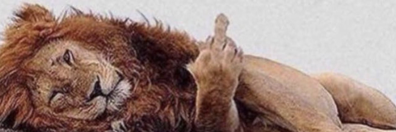 jlr_m9's profile banner image