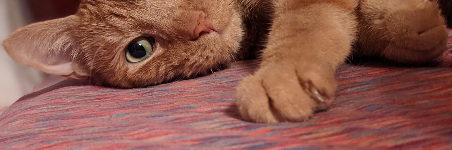 RedheadedCoffee's profile banner image