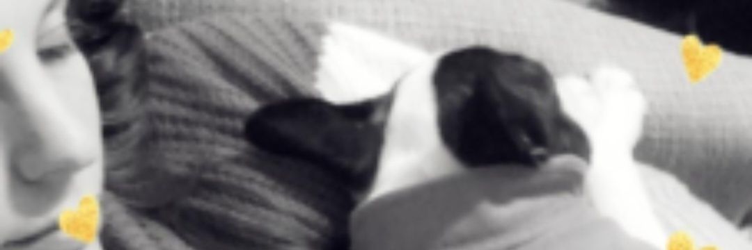 lore_pacheco_'s profile banner image