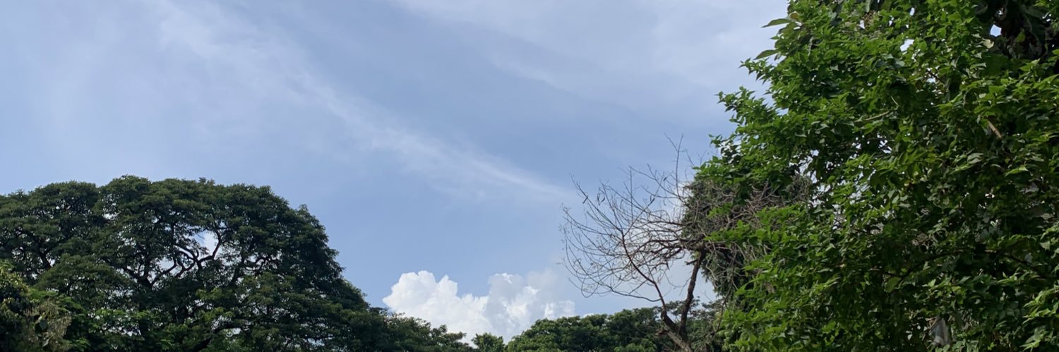yoongi_tx's profile banner image