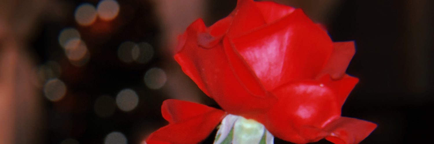 ilianaceless's profile banner image