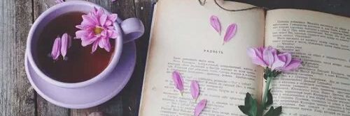 LaliCaseres's profile banner image