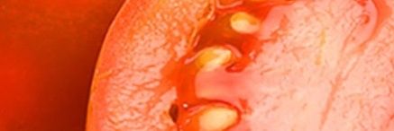 DeaCastillo90's profile banner image