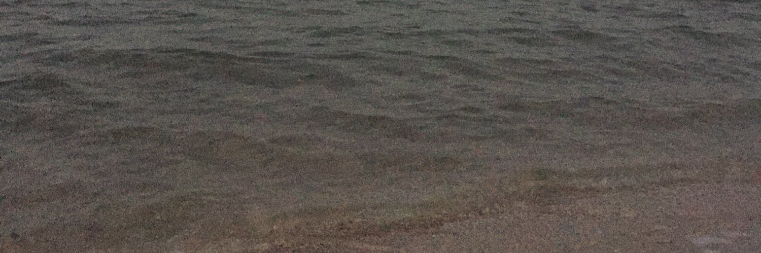 شيخ العرب banner