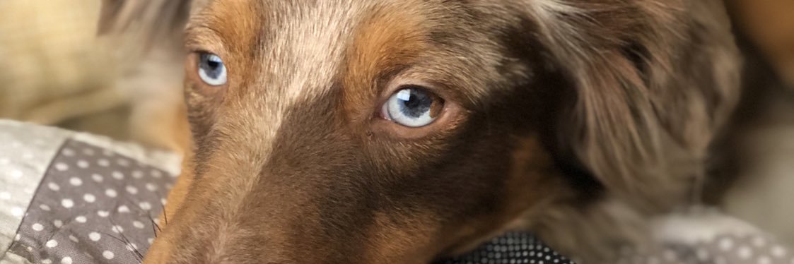 TylerBaggett's profile banner image