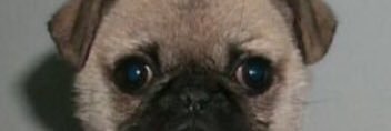 hussey_colin's profile banner image