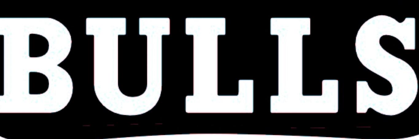 TheReal25k's profile banner image