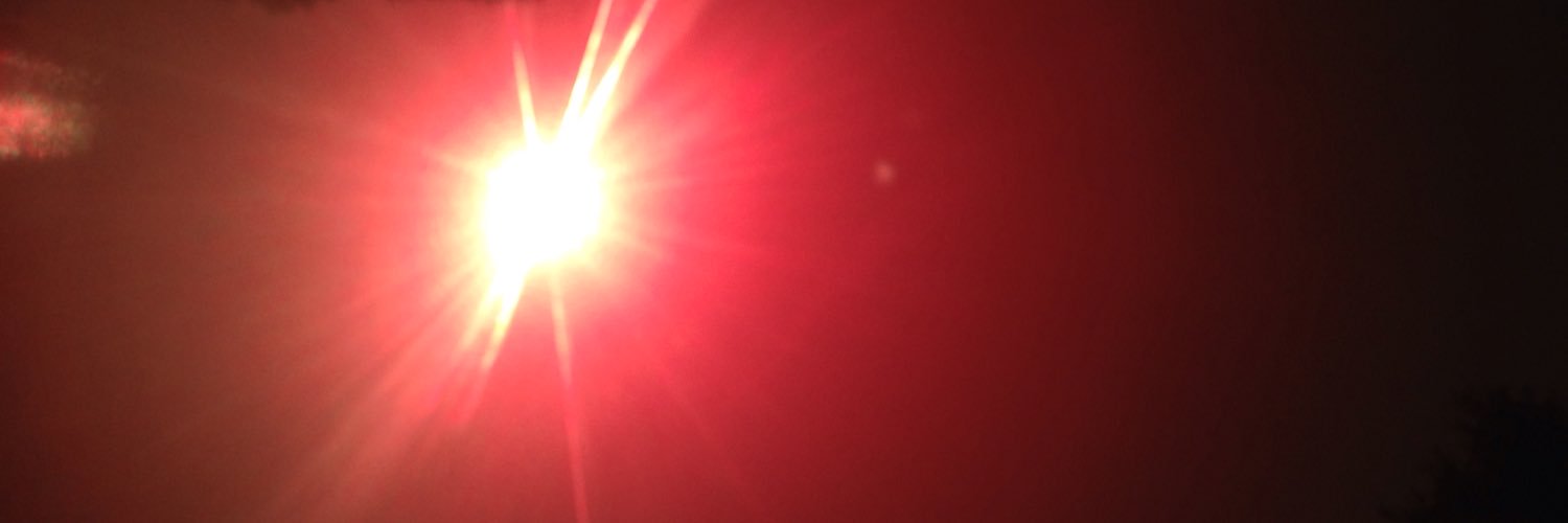LadyInfiernus's profile banner image
