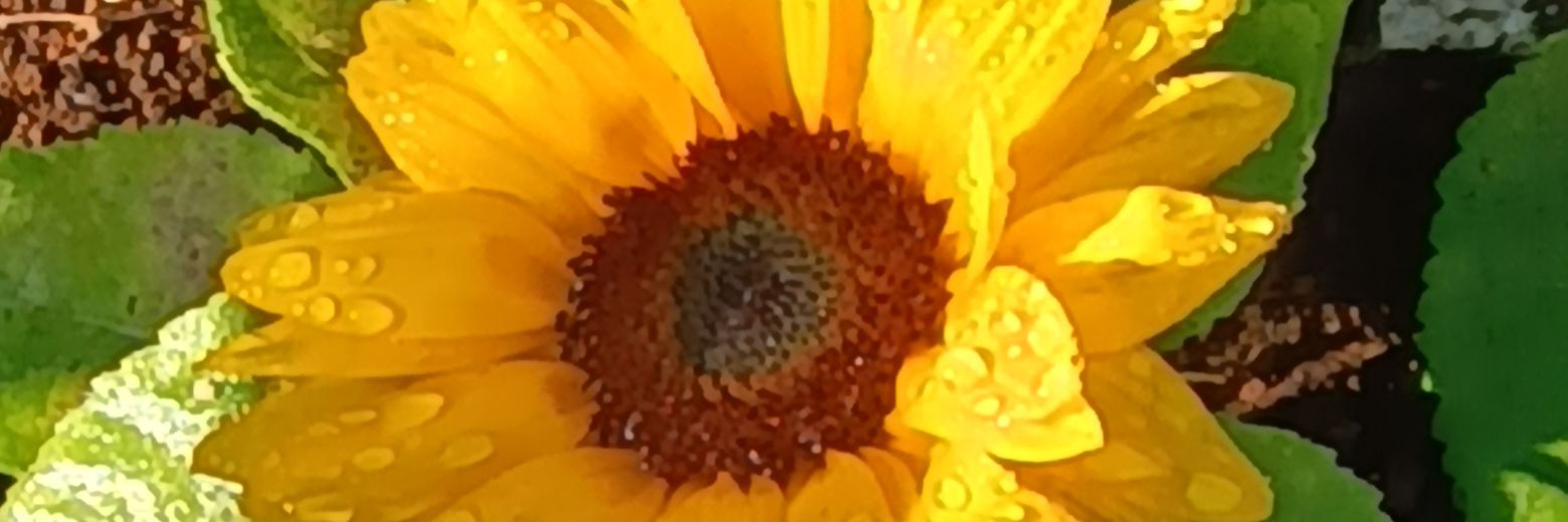 yellheart45's profile banner image