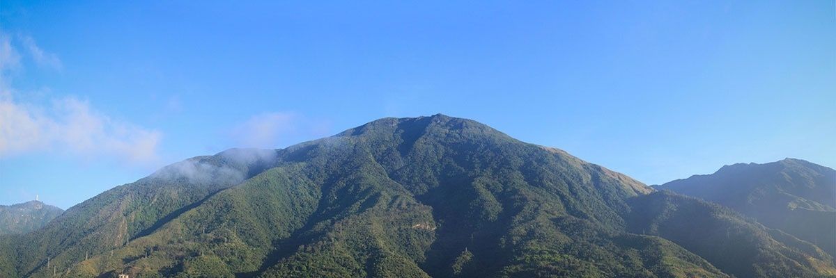 dolilaoveja's profile banner image