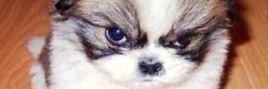 boyette_grace's profile banner image