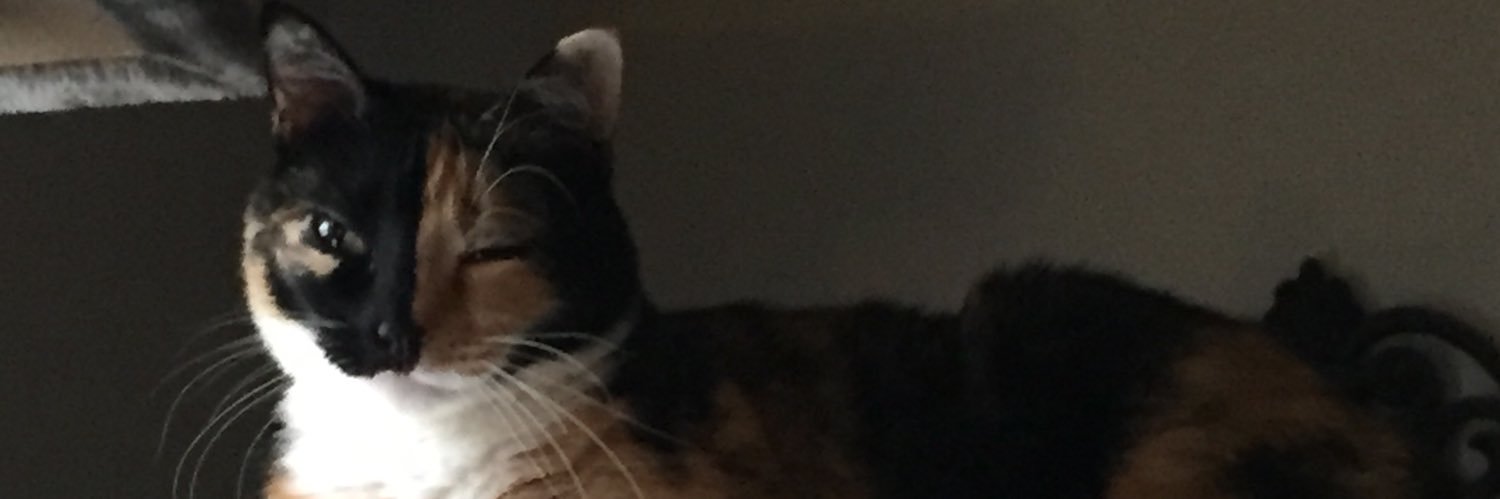 DeathsMistress's profile banner image