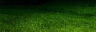 limbsjones's profile banner image