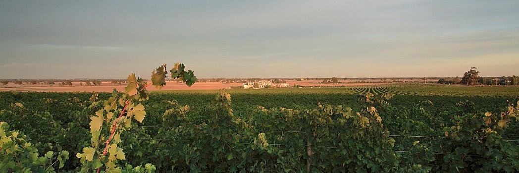 RuthEstates's profile banner image