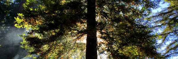 Kitaronetwork Profile Banner